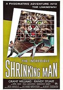 The Incredible Shrinking Man  online